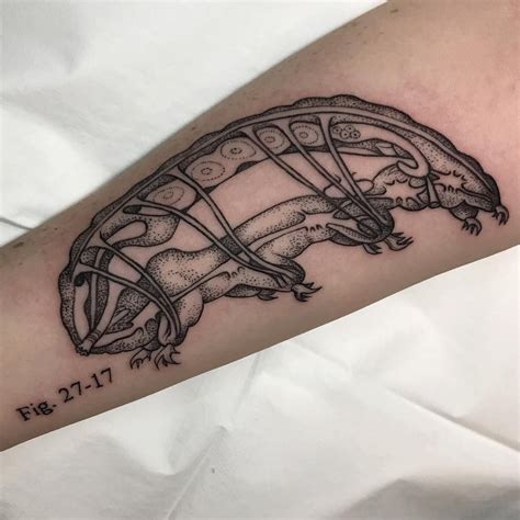 Tardigrade tattoo - During cryptobiosis, a tardigrade's metabolic activity drops to as little as 0.01% of normal levels. Its cells are protected from damage by water-soluble proteins that are unique to tardigrades ...